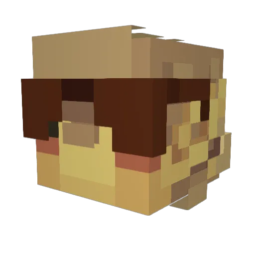 Pangi Minecraft avatar head, 3D render