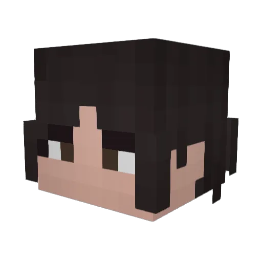 Panhoop Minecraft avatar head, 3D render
