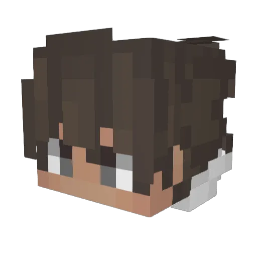PaniQui461_ Minecraft avatar head, 3D render
