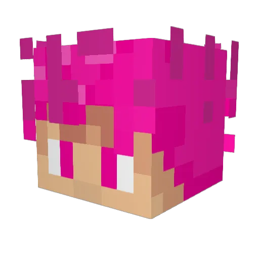 PanicPenguin42 Minecraft avatar head, 3D render