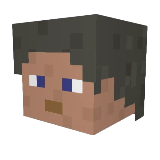 Panic_Attack444 Minecraft avatar head, 3D render