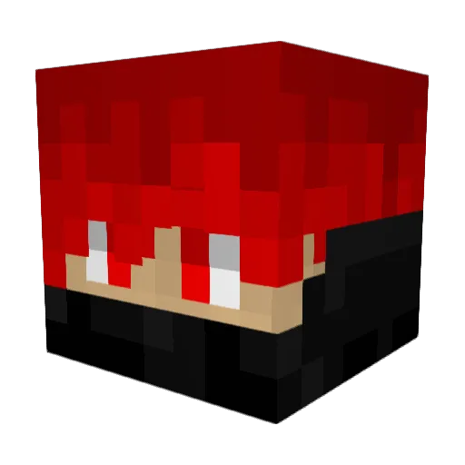 Panicaster Minecraft avatar head, 3D render