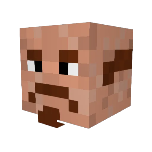 Panie420 Minecraft avatar head, 3D render