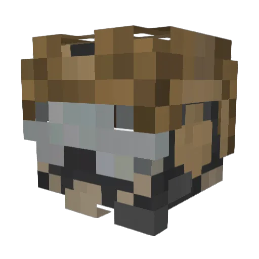 Panificadora Minecraft avatar head, 3D render