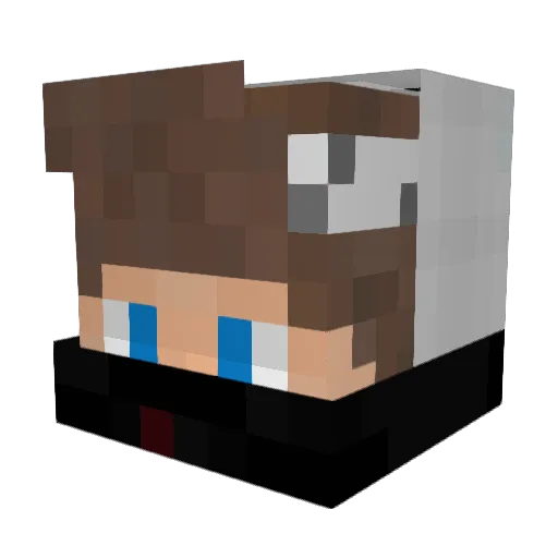 PanikMango Minecraft avatar head, 3D render