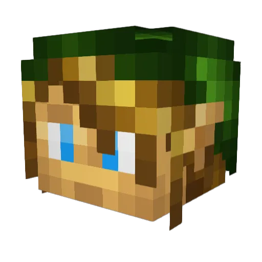 Panikz Minecraft avatar head, 3D render