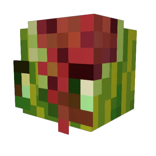 Panini09848 Minecraft avatar head, 3D render