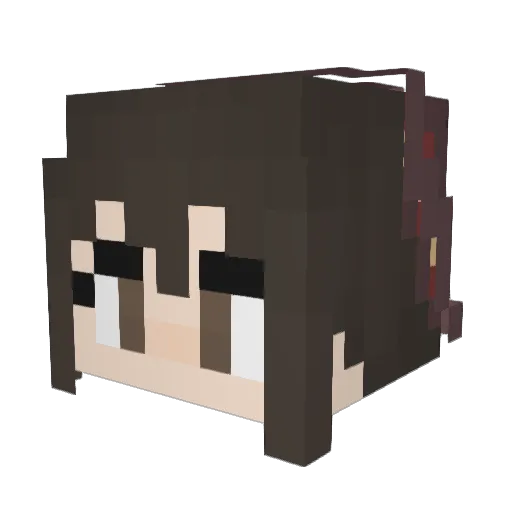 Paninidaddy Minecraft avatar head, 3D render
