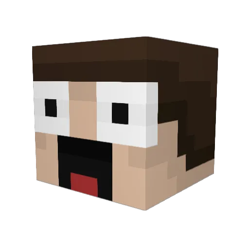 Paninjo Minecraft avatar head, 3D render