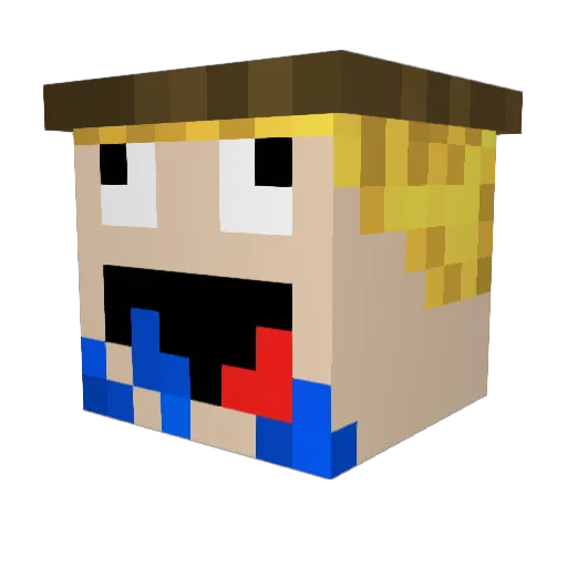 Panjan0 Minecraft avatar head, 3D render