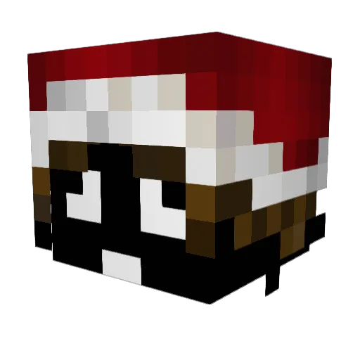 Panjee11 Minecraft avatar head, 3D render