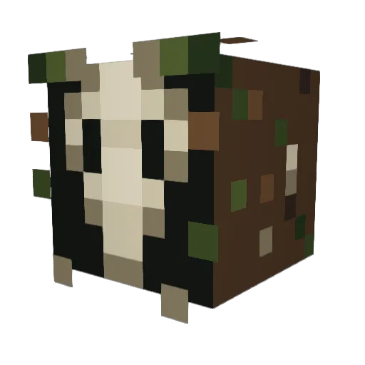 Pankkey Minecraft avatar head, 3D render