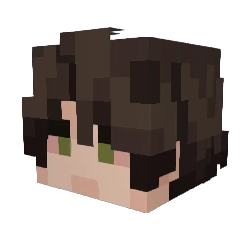 Pankus_Cankus Minecraft avatar head, 3D render