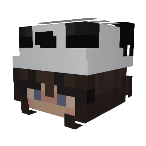 Panndine Minecraft avatar head, 3D render