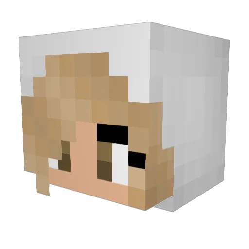 PanneKoekieNL Minecraft avatar head, 3D render