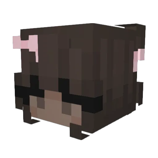 Pannekoek9 Minecraft avatar head, 3D render