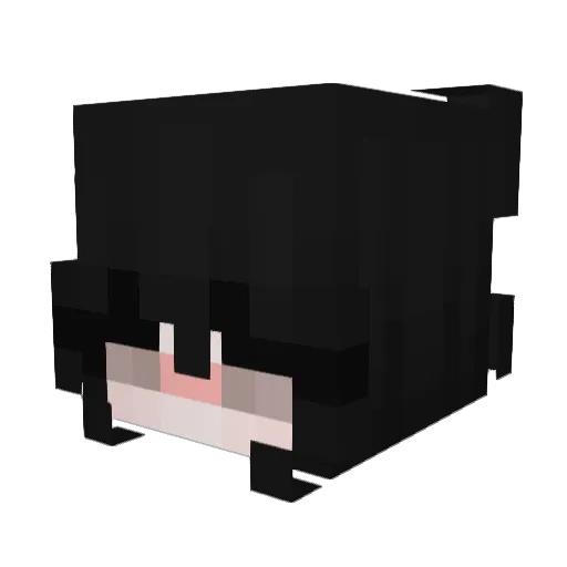 Pannesh Minecraft avatar head, 3D render