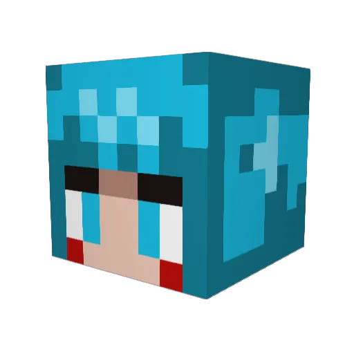 Panni0819 Minecraft avatar head, 3D render