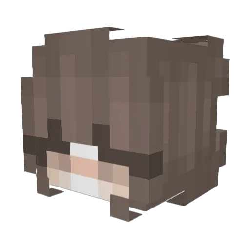 PanochaAguada Minecraft avatar head, 3D render