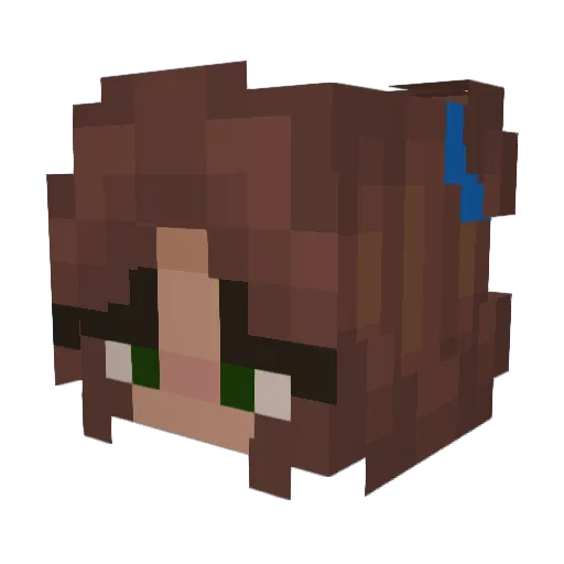 Panorana Minecraft avatar head, 3D render