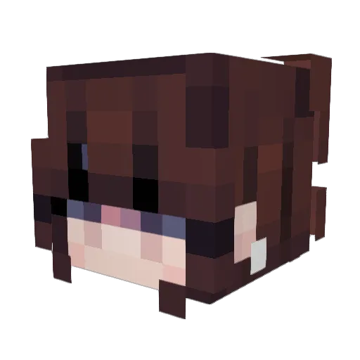 Panquacks Minecraft avatar head, 3D render