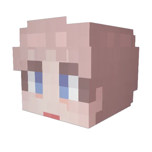 Pansa_ Minecraft avatar head, 3D render