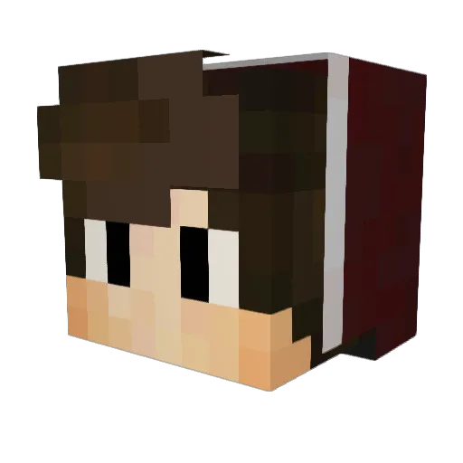 Panta55 Minecraft avatar head, 3D render