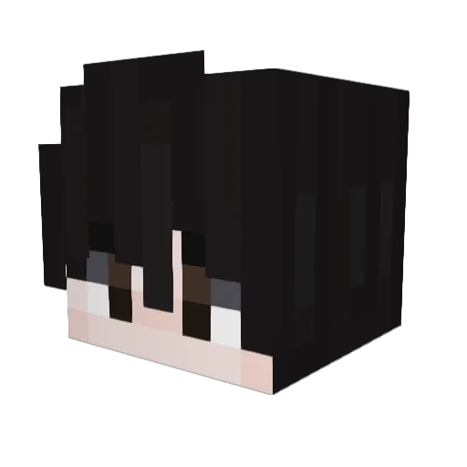 Panted_ Minecraft avatar head, 3D render