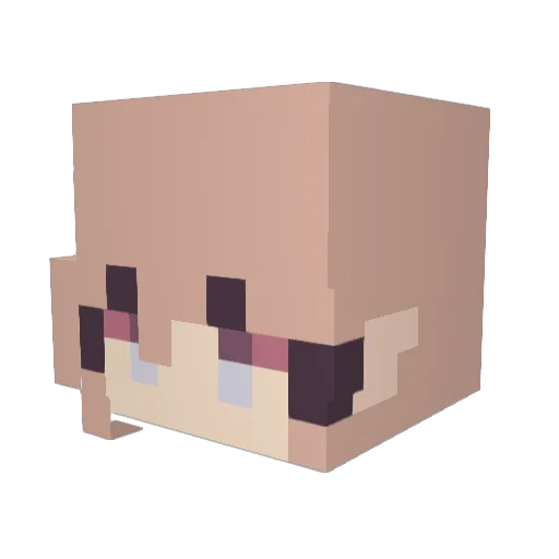 Panther2685 Minecraft avatar head, 3D render