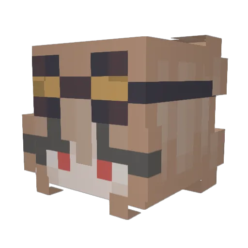 PantherBeatle66 Minecraft avatar head, 3D render