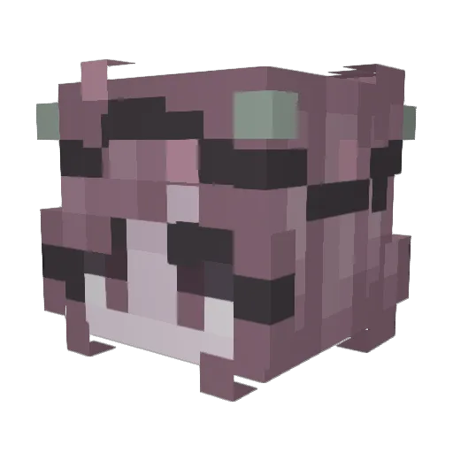 PantherPauli Minecraft avatar head, 3D render