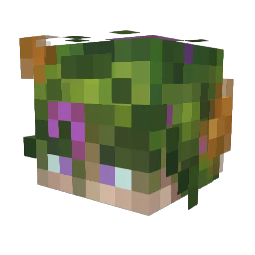 Panthera27 Minecraft avatar head, 3D render
