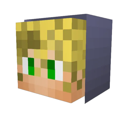 Panthura Minecraft avatar head, 3D render