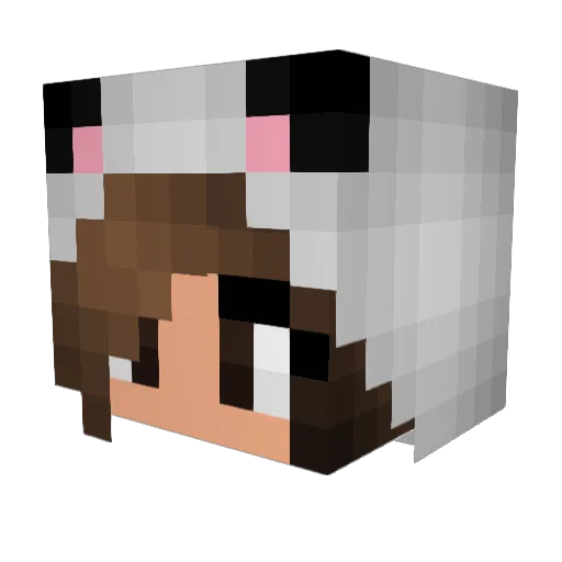 Pantonia Minecraft avatar head, 3D render