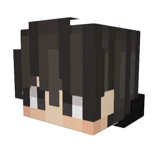 PanzWin Minecraft avatar head, 3D render