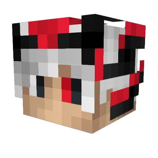 PanzaKnacka47 Minecraft avatar head, 3D render
