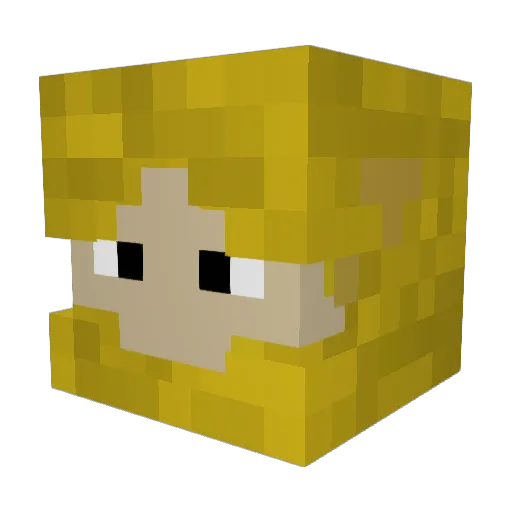 Panzerfaust69 Minecraft avatar head, 3D render