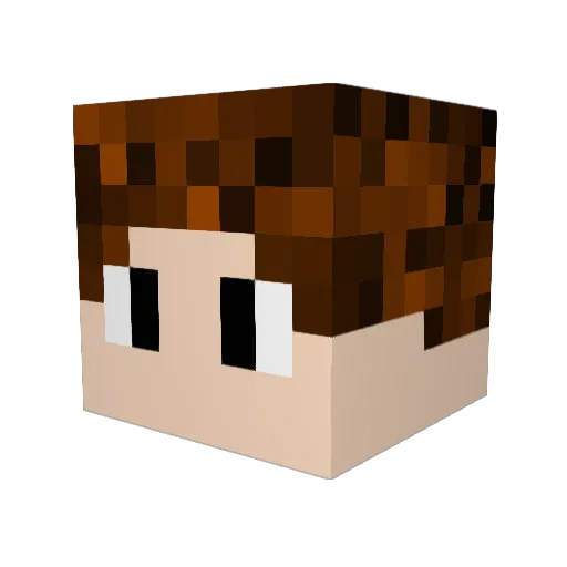 PaoPaoDing_PPD Minecraft avatar head, 3D render