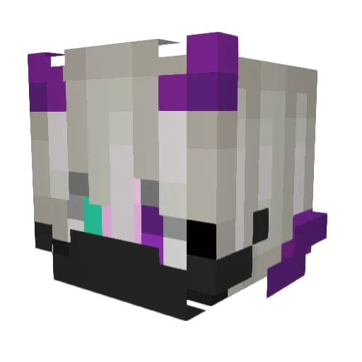 PaoSonic250 Minecraft avatar head, 3D render
