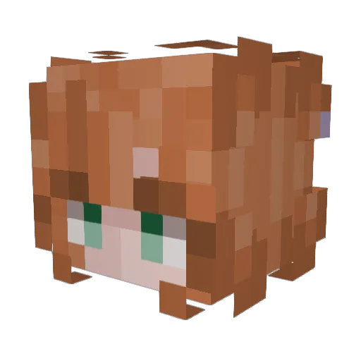 Paolak Minecraft avatar head, 3D render