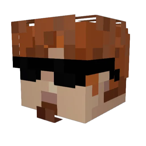 Paolis23k Minecraft avatar head, 3D render