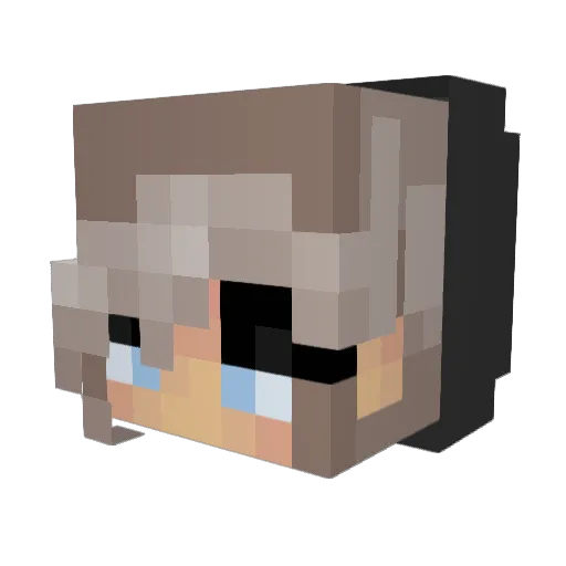 PaoolaS Minecraft avatar head, 3D render