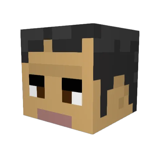 PapaIrek Minecraft avatar head, 3D render