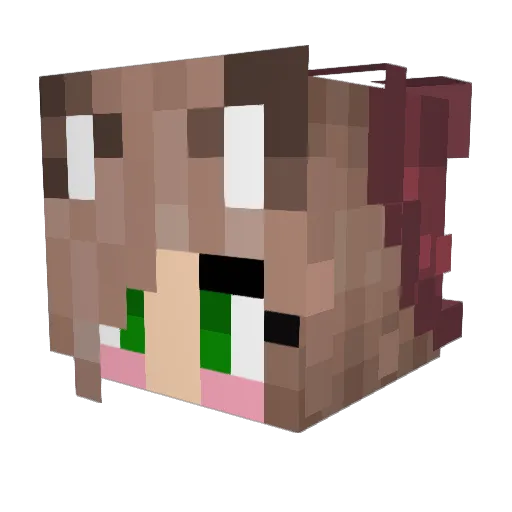 PapaNathan Minecraft avatar head, 3D render