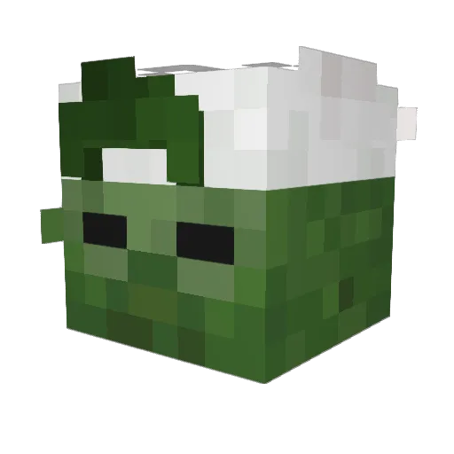 PapaParadigm Minecraft avatar head, 3D render