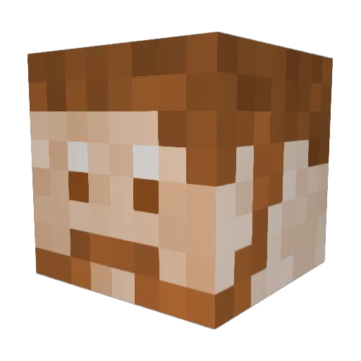 Papa_Meta Minecraft avatar head, 3D render