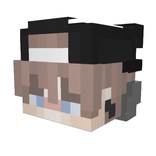 Papa__Bless__ Minecraft avatar head, 3D render