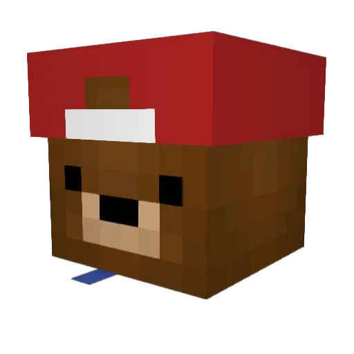 Papabear2914 Minecraft avatar head, 3D render