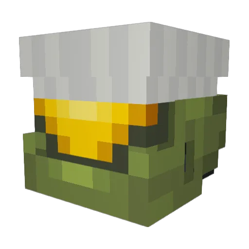Papabear9269 Minecraft avatar head, 3D render