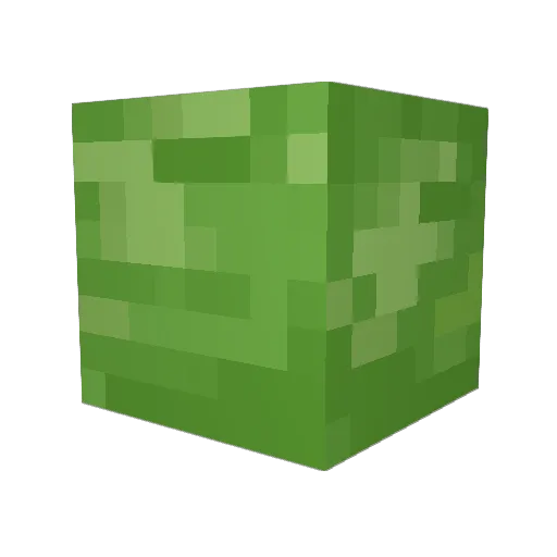Papagani2 Minecraft avatar head, 3D render